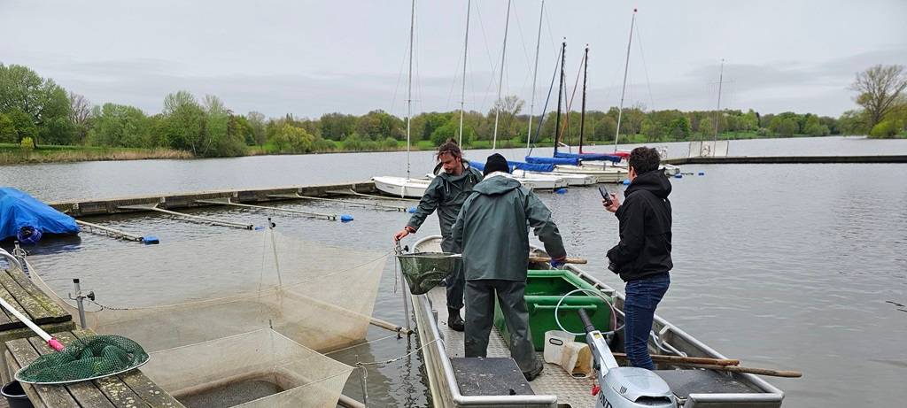 Fischfang auf dem Aasee