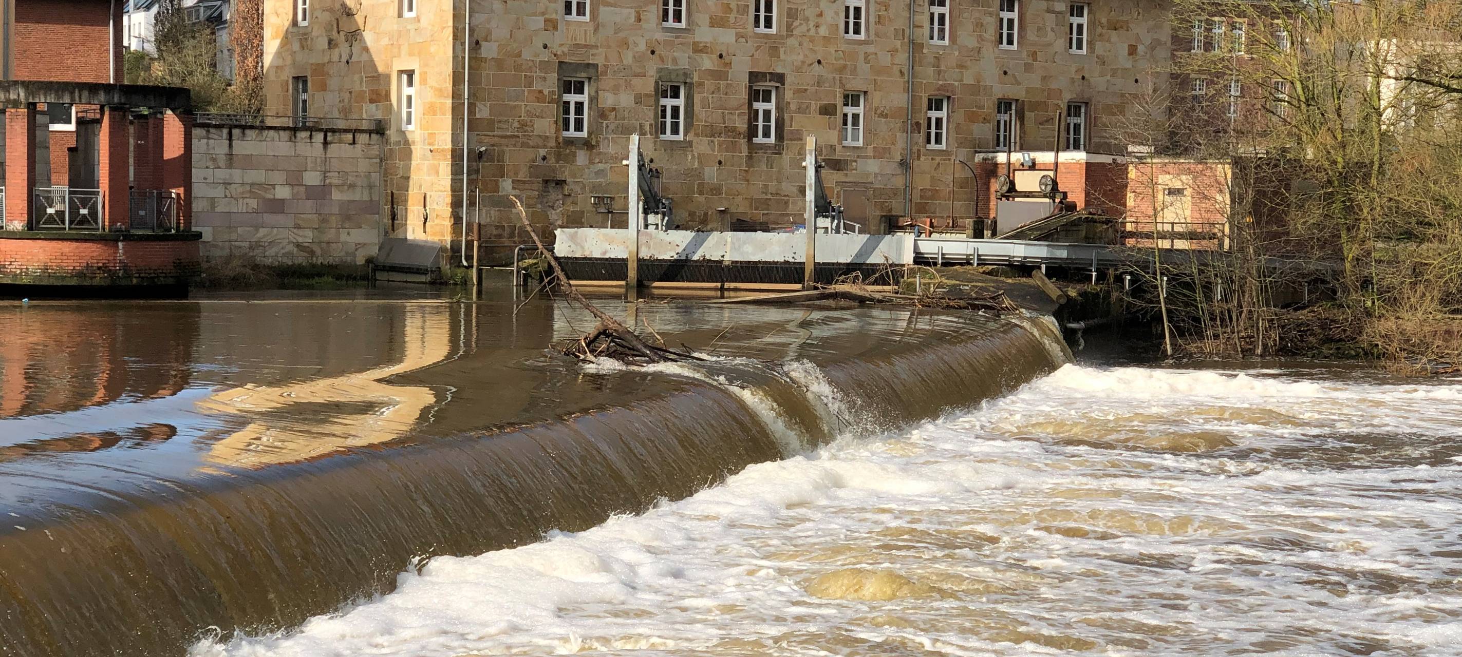 Thema der Woche aus der Region