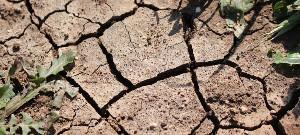 Münsterland droht Wassermangel