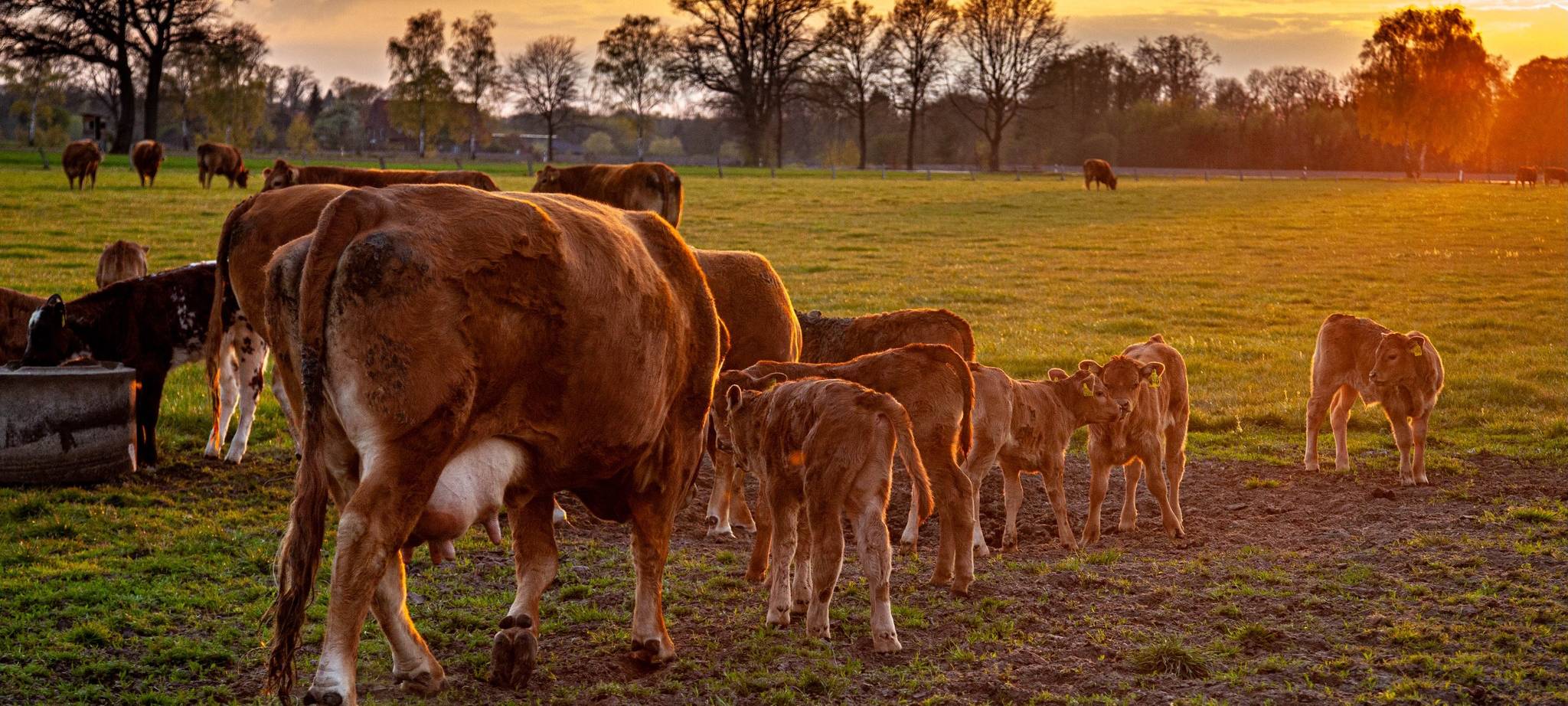 Sören und Kathleen - DAS FOTO DER WOCHE