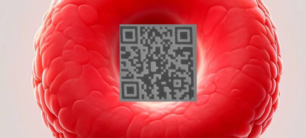 Physiker aus Münster stellen kleinsten QR-Code her