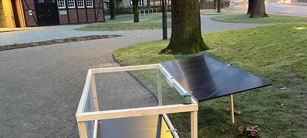 Taubenfang in Emsdetten