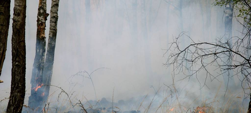 Waldbrandgefahr steigt