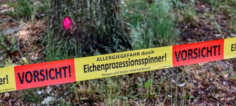 EPS-Bekämpfung in Lengerich