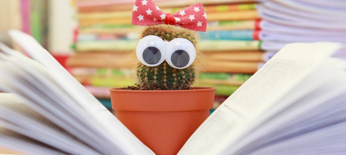 Freie Ausbildungsplätze