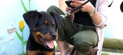 Magnus ist der neue Kommissar Wuff