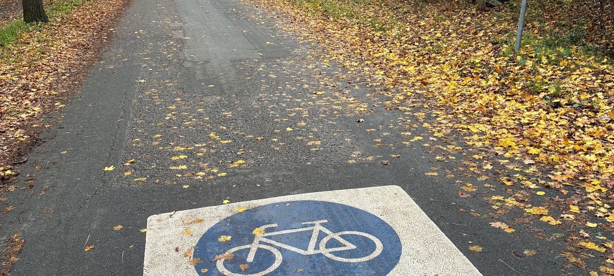 Fahrradstraßen im Kreis Steinfurt: Wo sie schon Alltag sind und wo gerade getestet wird