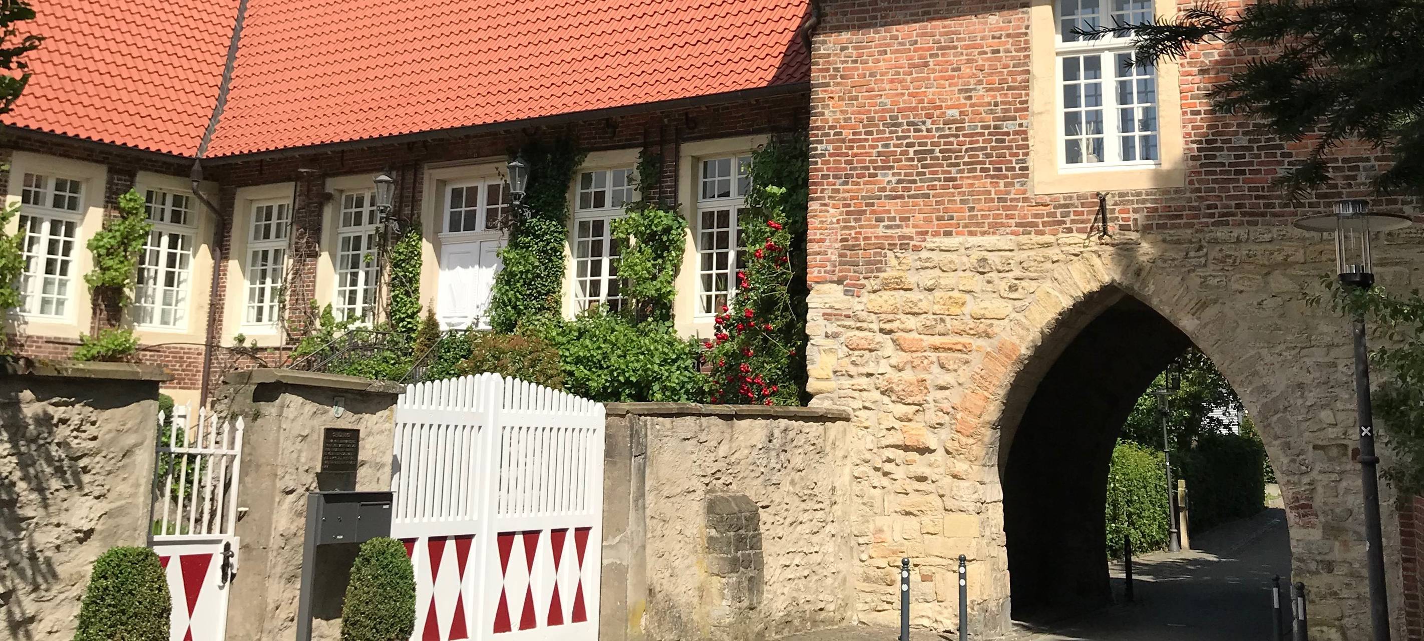 Klimanotstand in Horstmar sorgt für Diskussionen