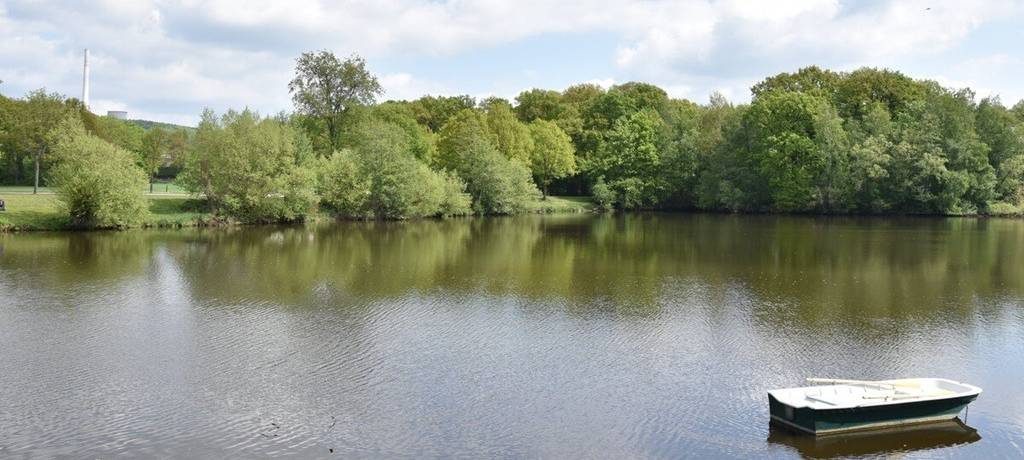 Ein Blick auf den Ibbenbürener Aasee mit bewachsenem Uferstreifen und einem Paddelbboot im Vordergrund