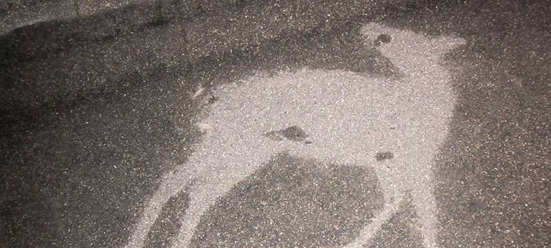 Der Umriss eines Rehs auf einer nassen Fahrbahn.