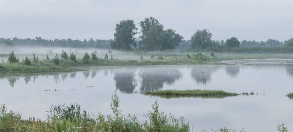 Moorlandschaft mit Wasserfläche im Vordergrund und verlandeten Bereichen im Hintergrund - darüber Nebel.