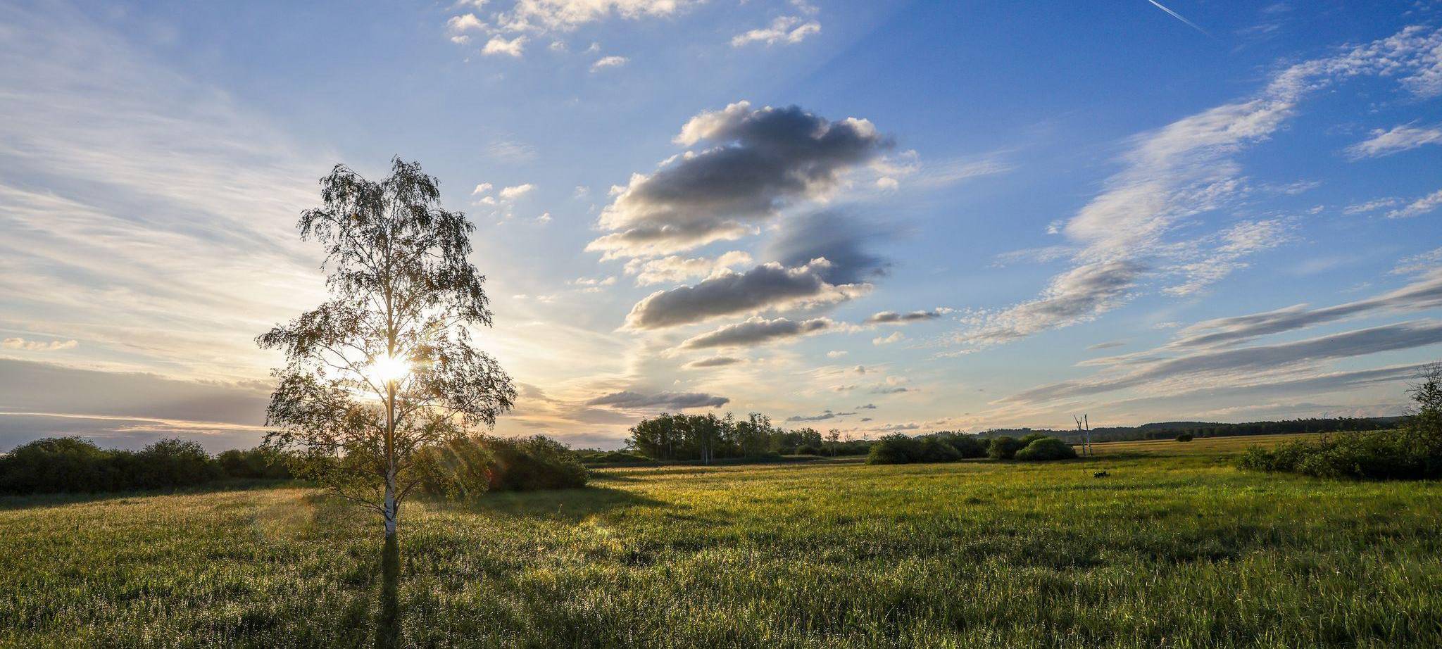 Wetter in Baden-Württemberg