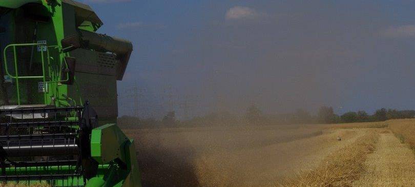 Ernte beginnt