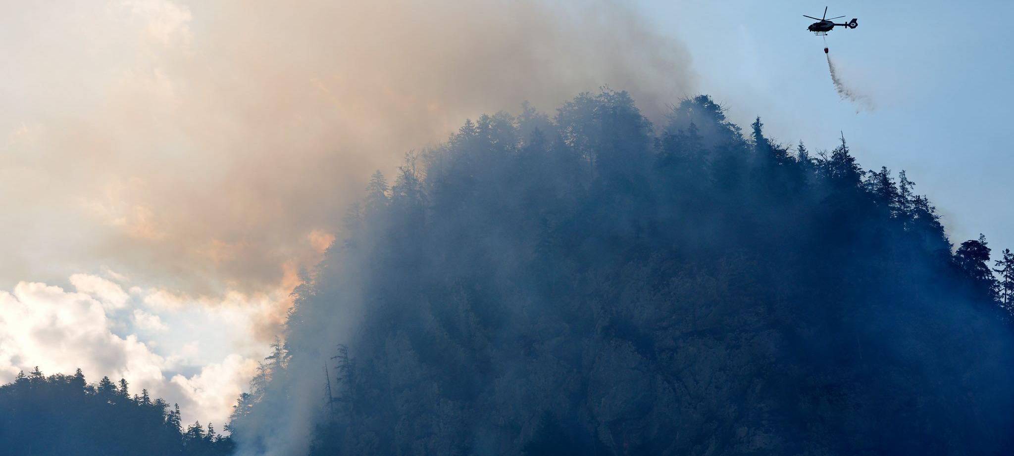 Brand im Bergwald in den Chiemgauer Alpen
