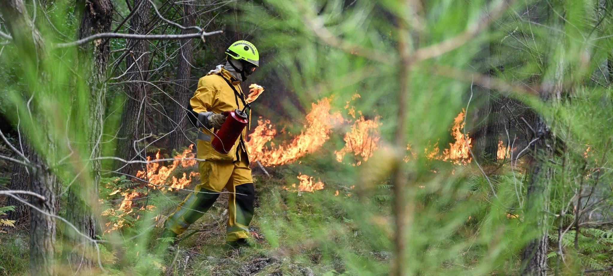 Waldbrände in Frankreich