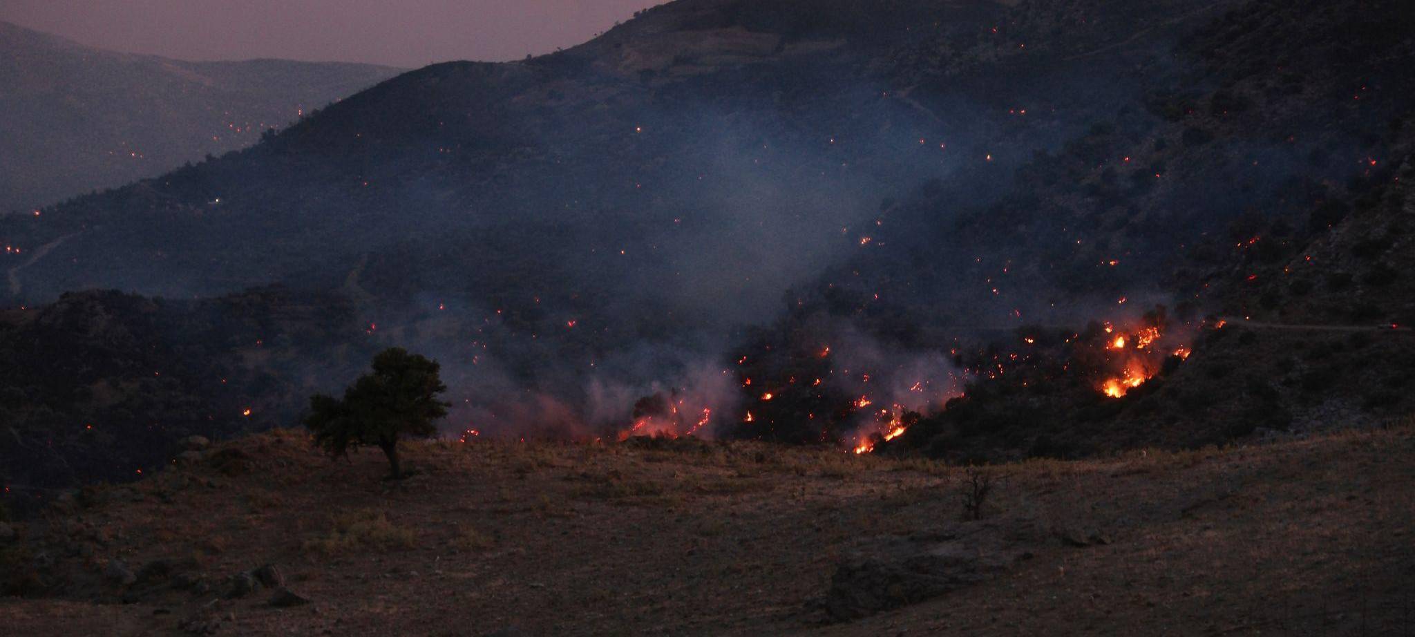 Waldbrände in Griechenland - Kreta
