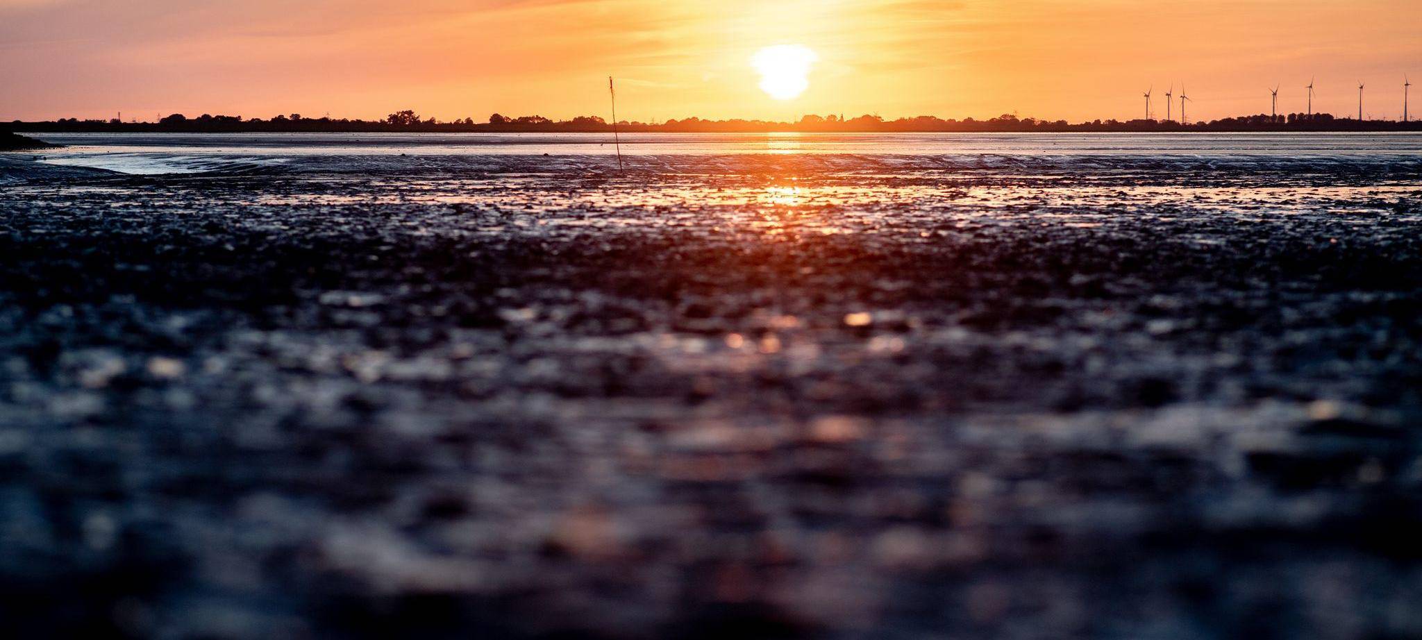 Watt en Schlick Festival - Sonnenuntergang in Dangast