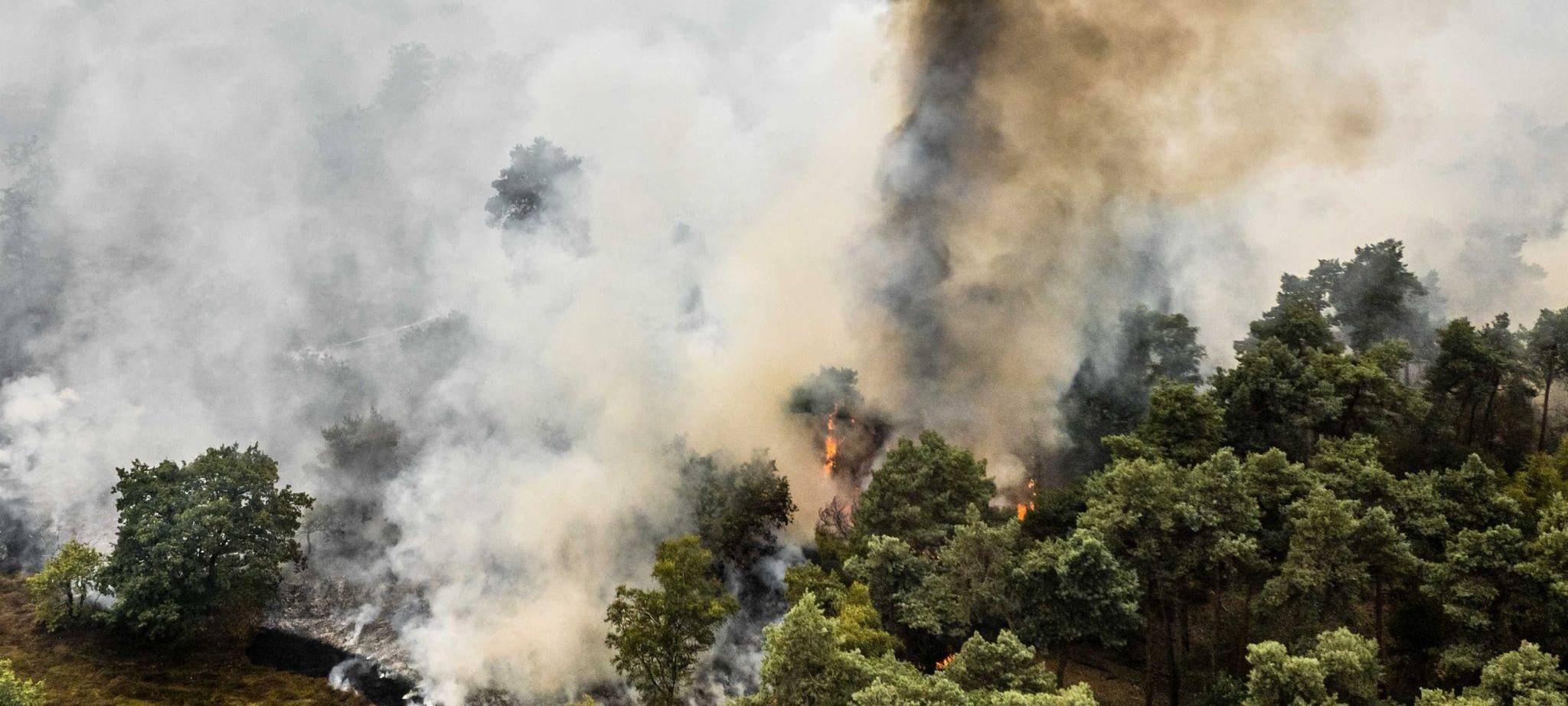 Brand im niederländischen Naturschutzgebiet De Rosmolen