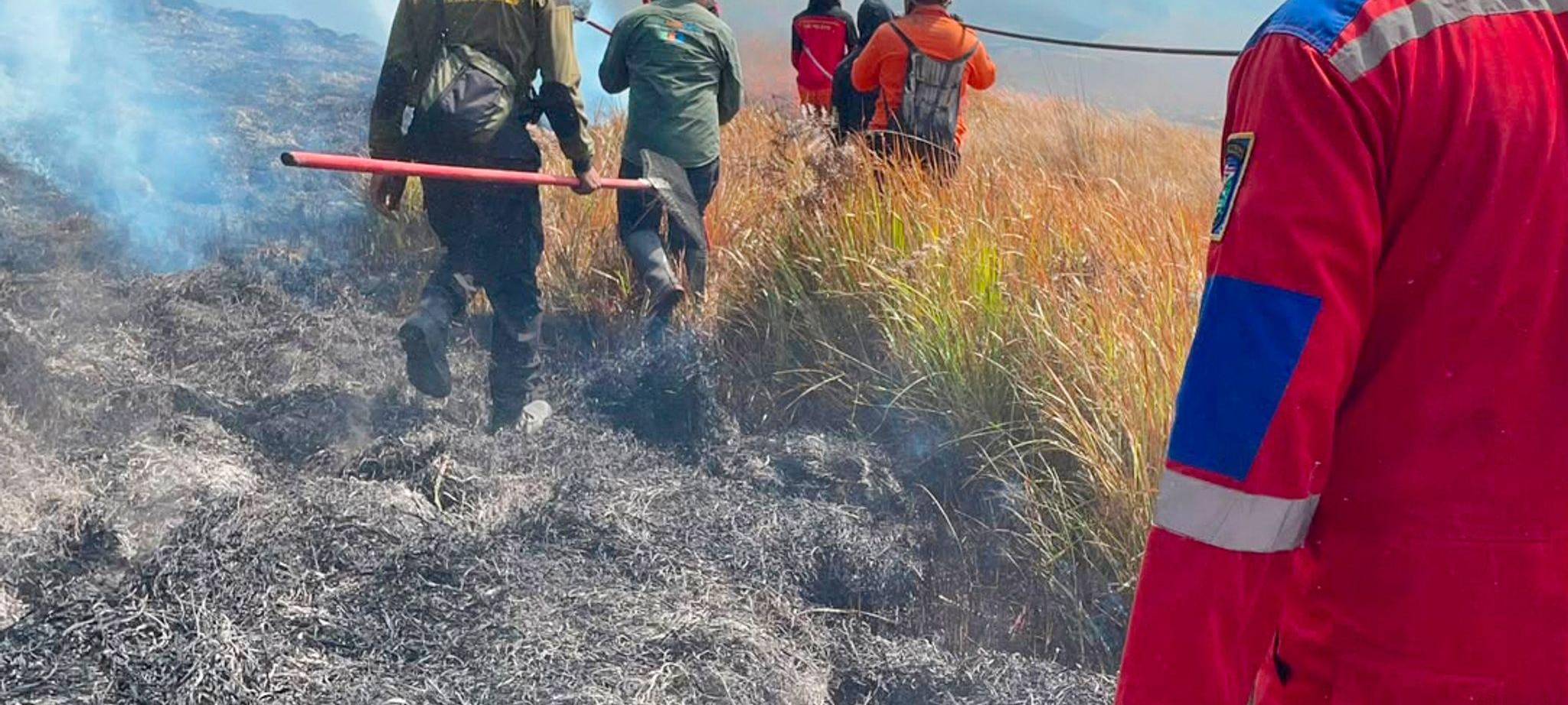 Waldbrände in Indonesien