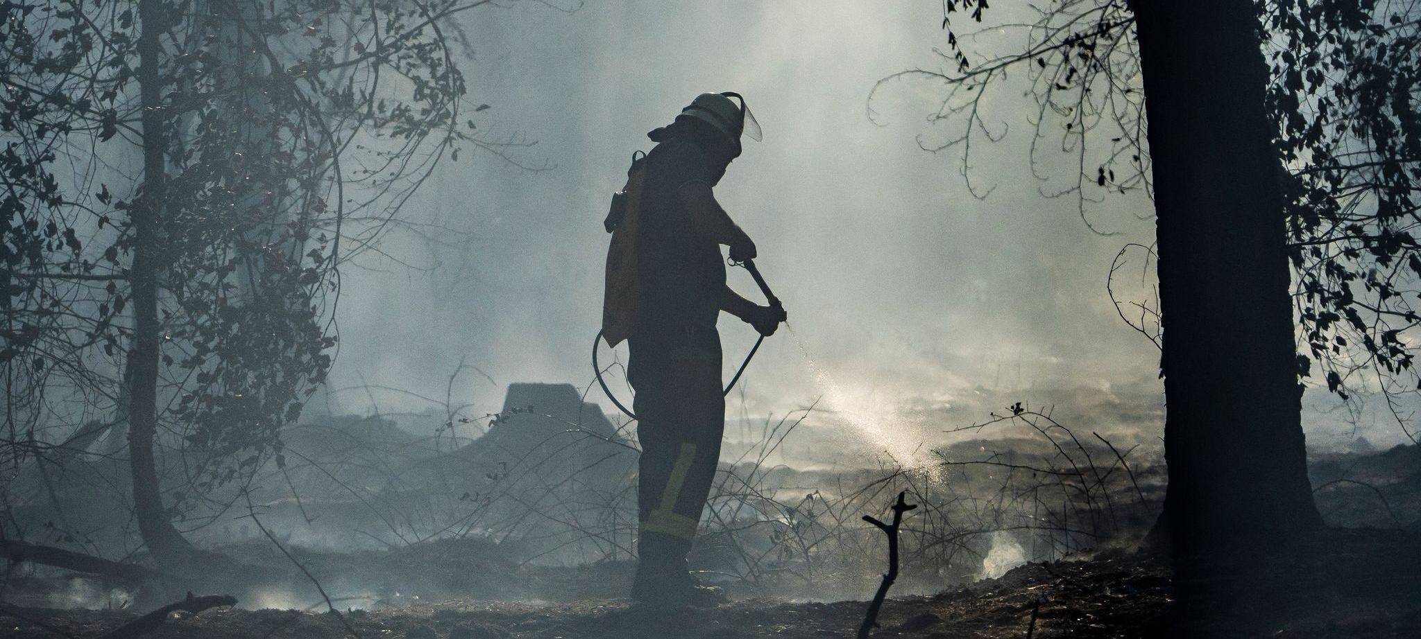 Waldbrand in Hessen