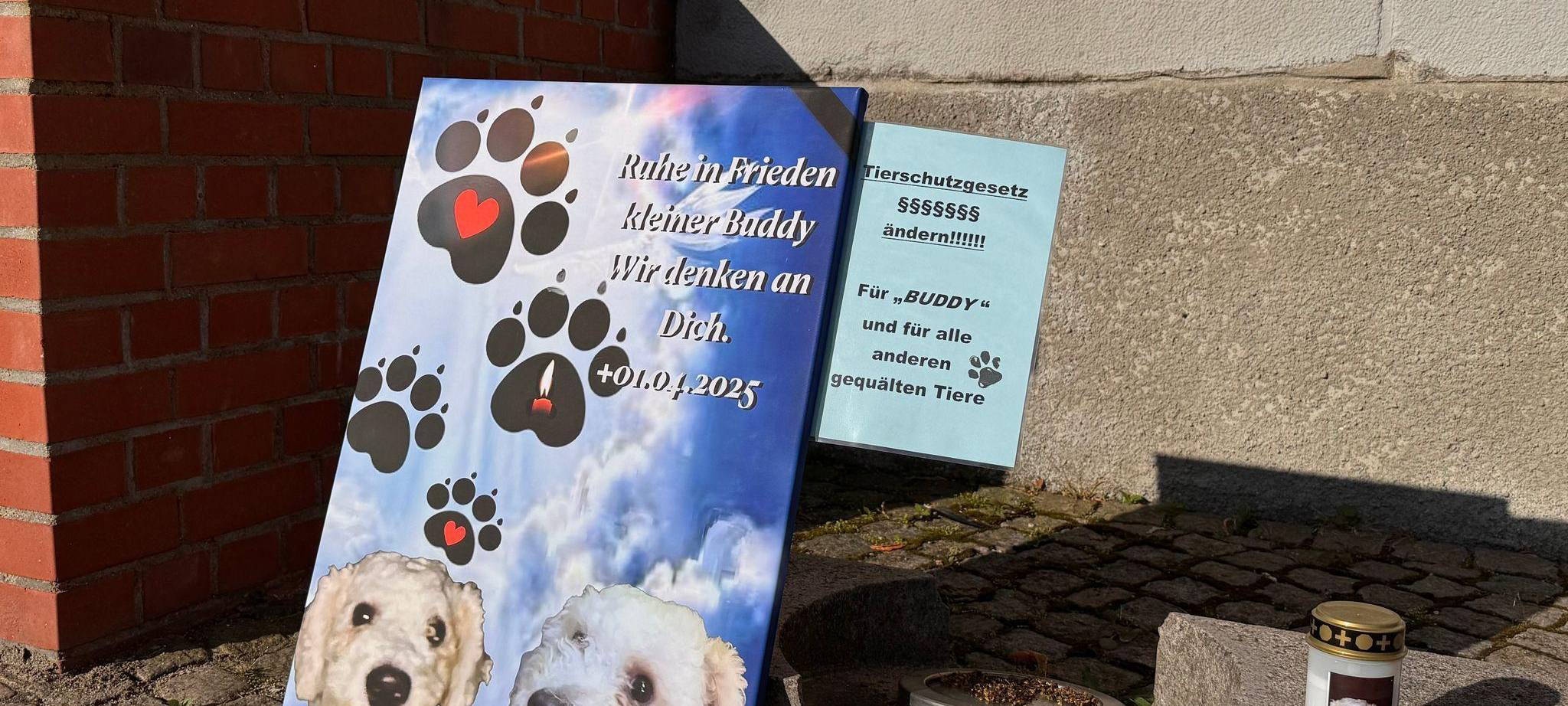 Prozess um getöteten Hund "Buddy"
