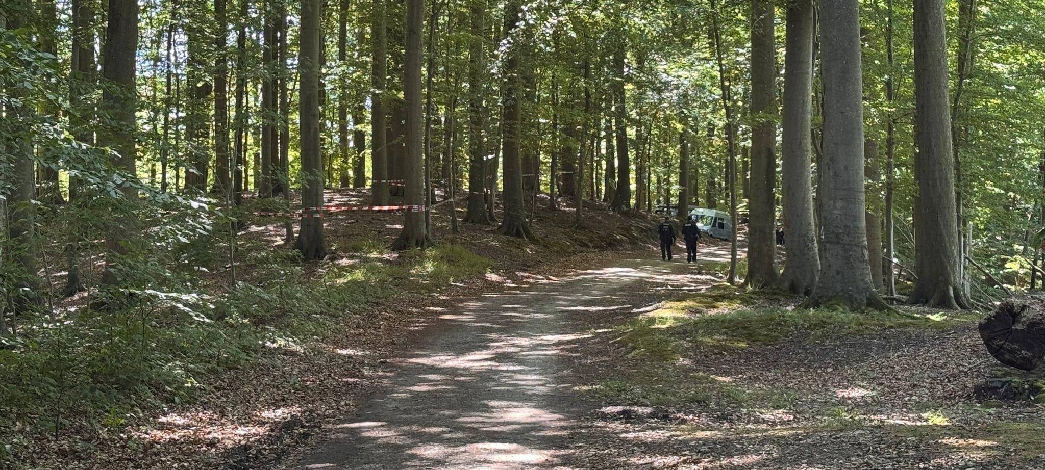 Menschlicher Torso in Waldstück gefunden