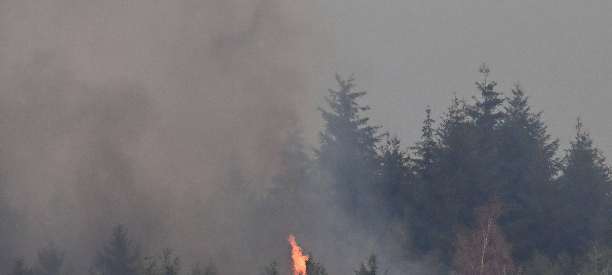 Waldbrand im Hürtgenwald