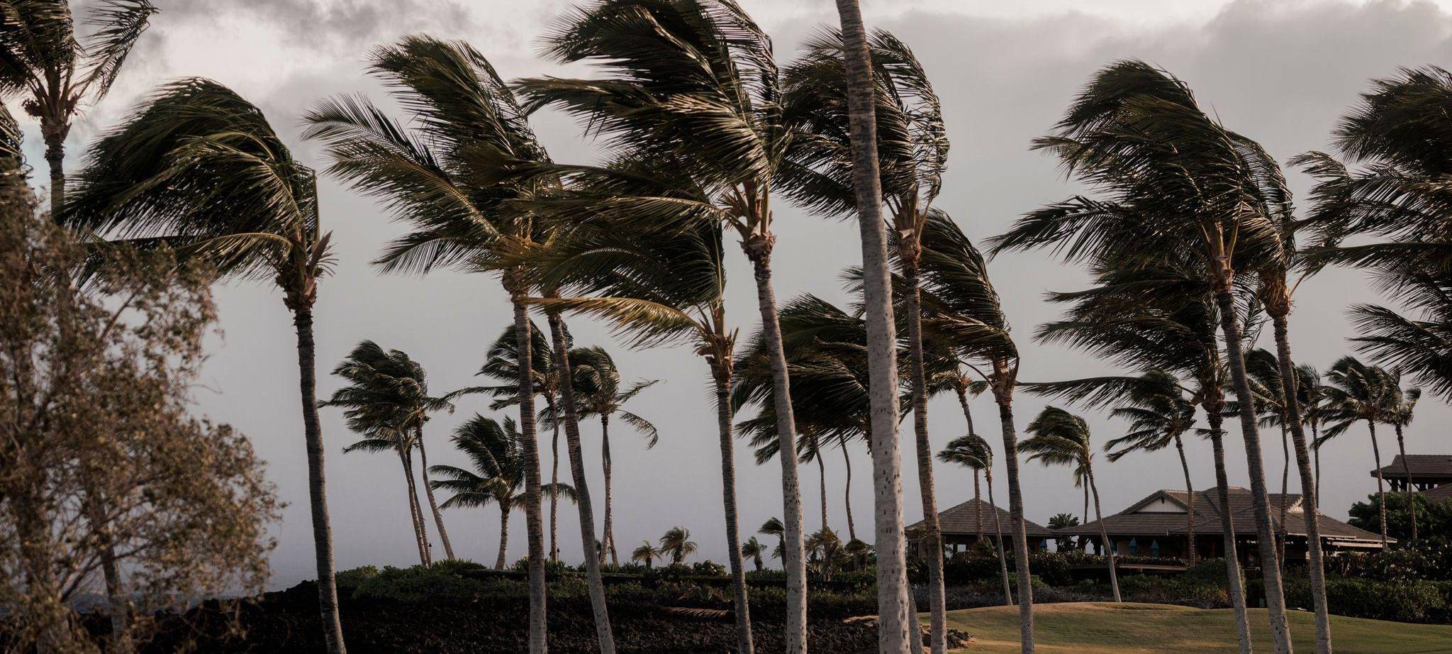 Hurrikanwarnung auf Hawaii: Sturm «Lala» nähert sich