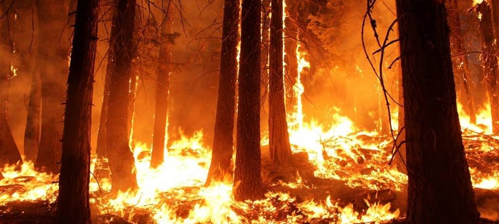 Waldbrandgefahr: Wald meiden