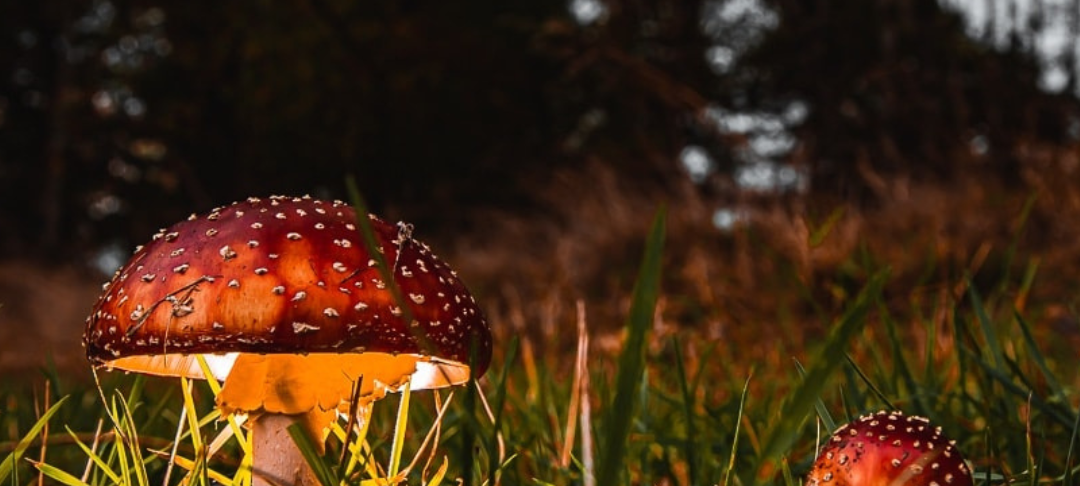 Sören und Kathleen - DAS FOTO DER WOCHE