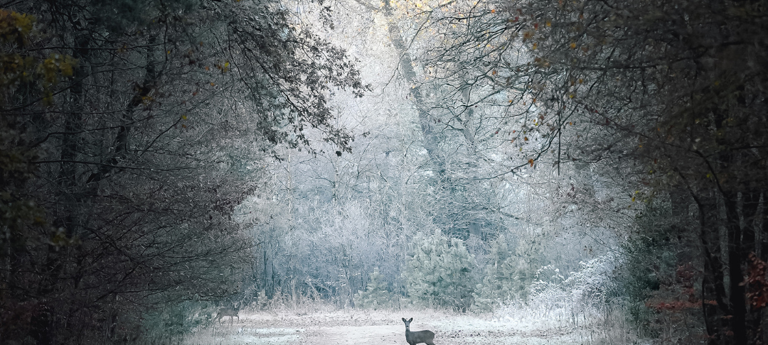 Sören und Kathleen - DAS FOTO DER WOCHE