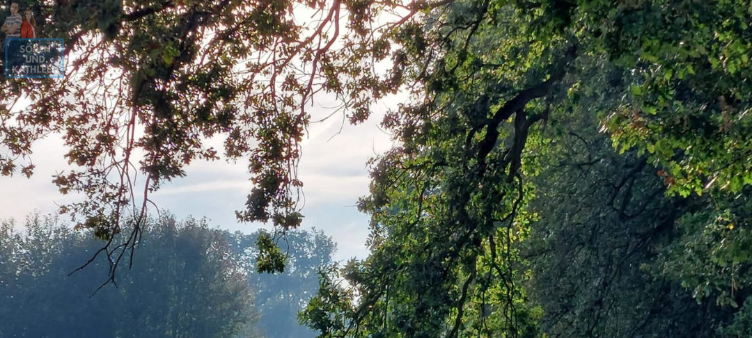 Sören und Kathleen - DAS FOTO DER WOCHE
