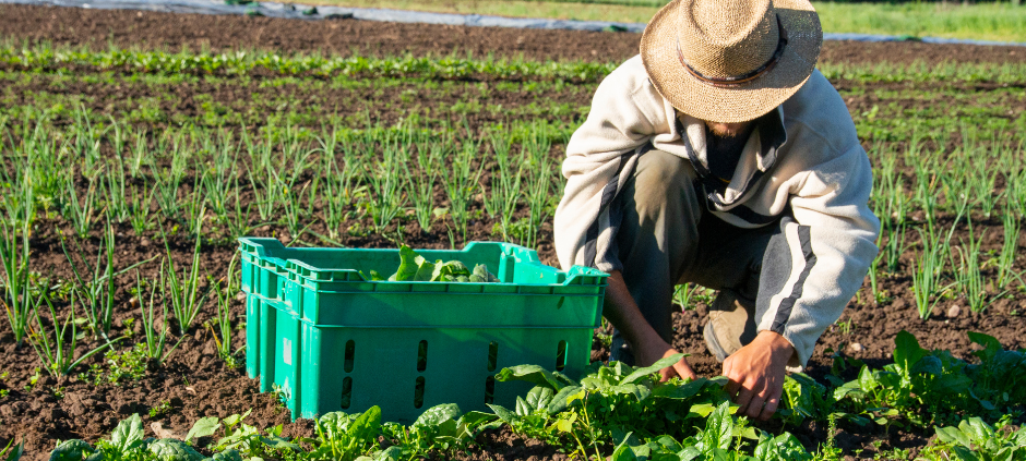 Zukunftsmodelle in der Landwirtschaft
