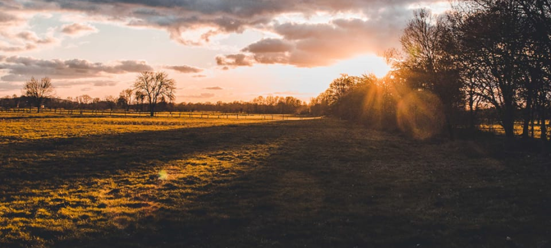 Sören und Kathleen - DAS FOTO DER WOCHE