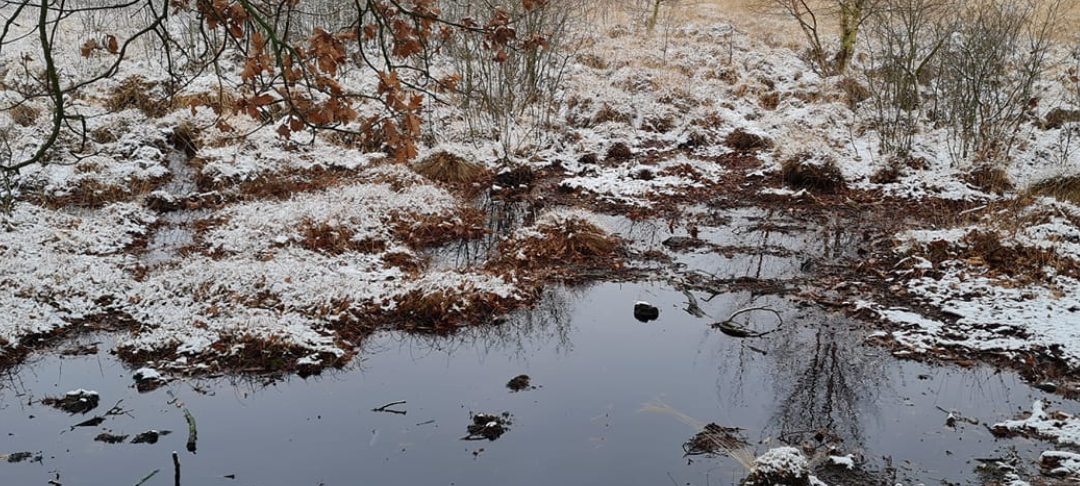 Sören und Kathleen - DAS FOTO DER WOCHE