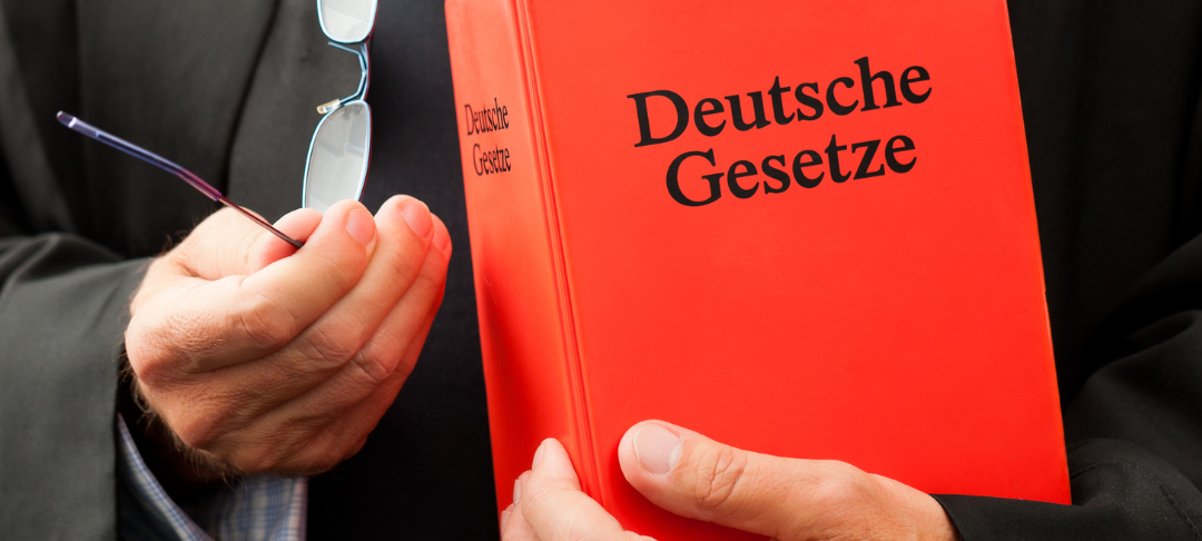 AfD legt Rechtsmittel gegen OVG-Urteile ein