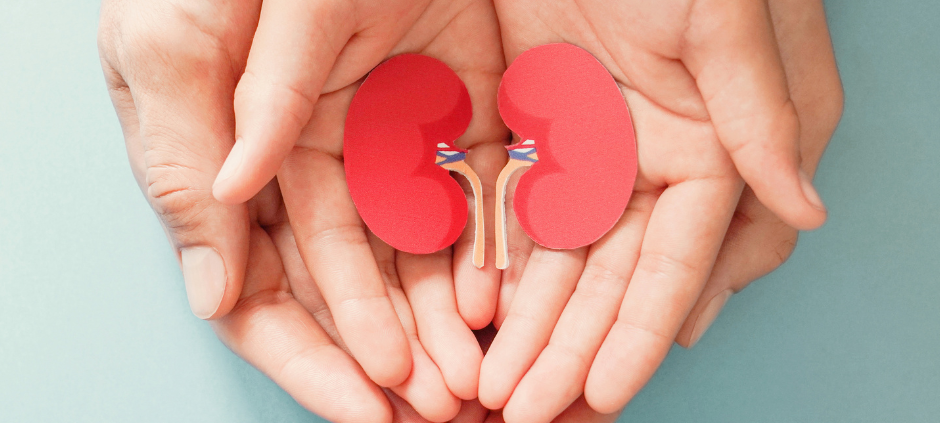 Widerspruchslösung bei der Organspende