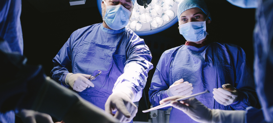 Pilzvergiftung: Patientin in Münster erhält Spenderleber