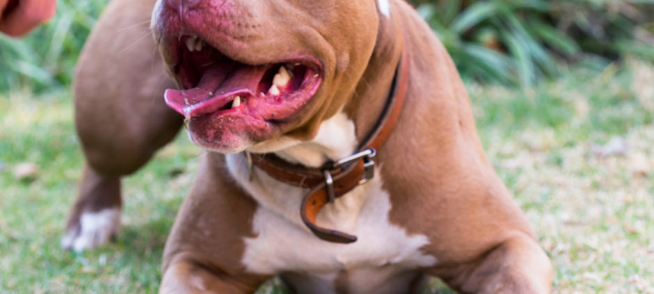 Grundsatzurteil aus Münster