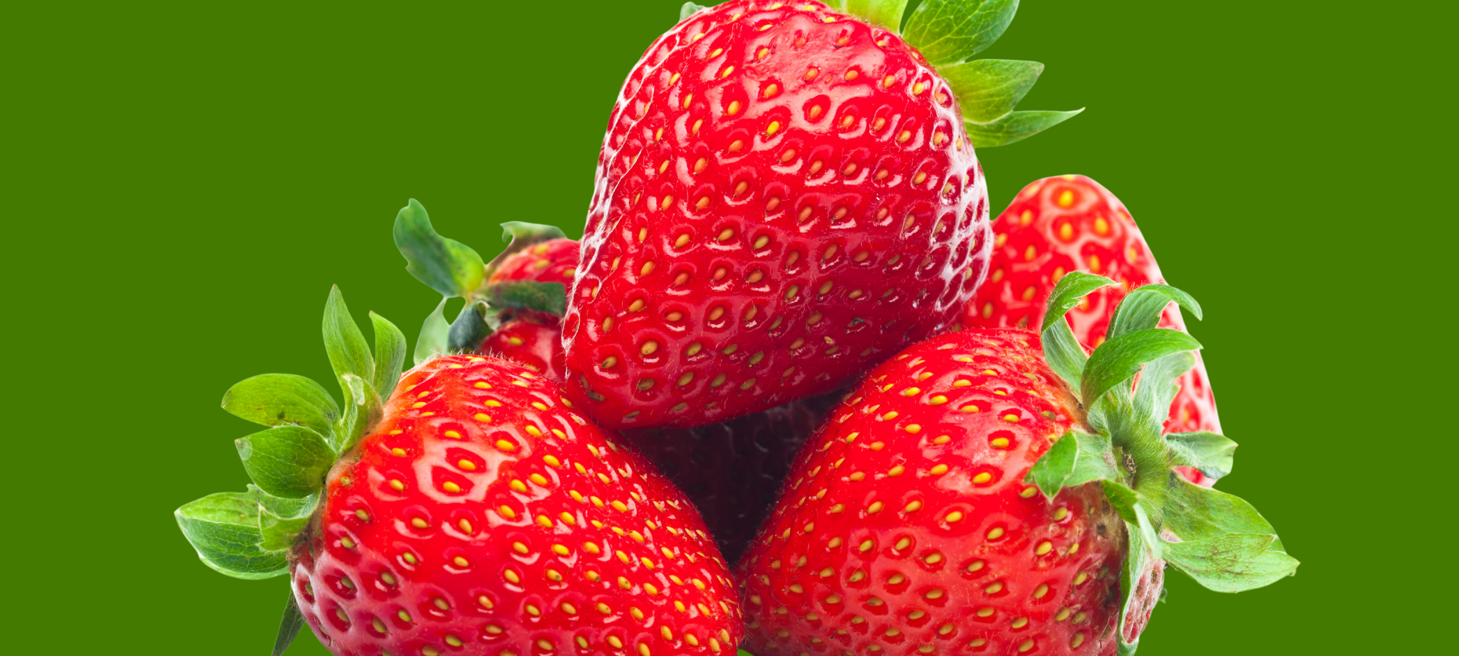 Früher Start in die Erdbeersaison 2026