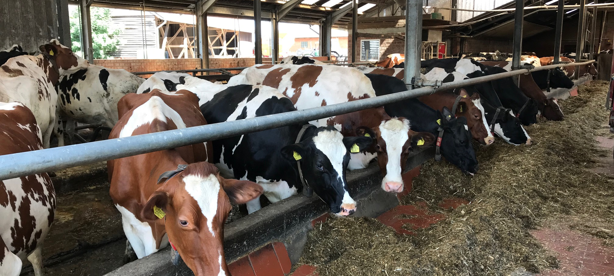 Landwirt Henning Stoyke zu Gewässerschutz und Düngeregeln